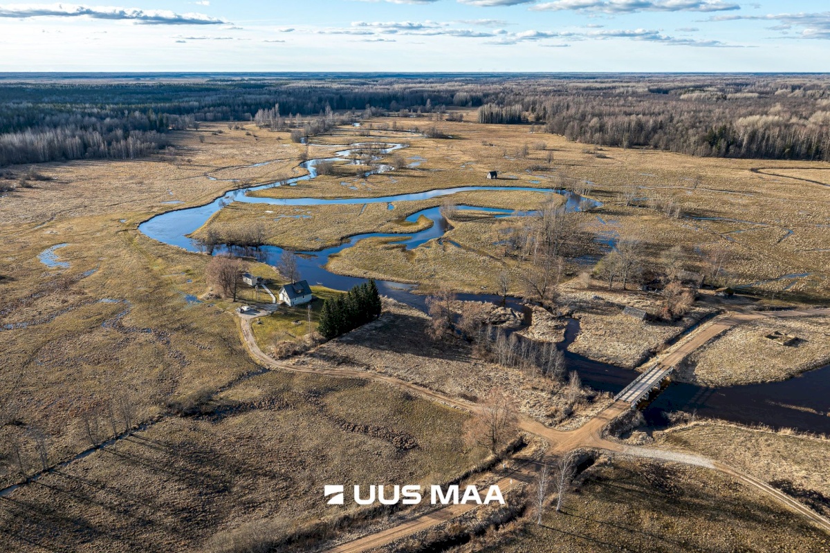 Põhja-Sakala vald, Tipu küla, Tammearu