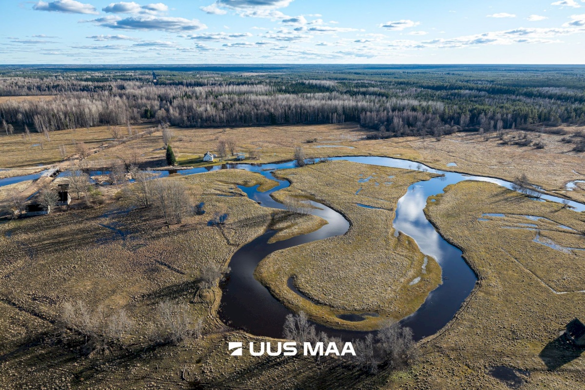 Põhja-Sakala vald, Tipu küla, Tammearu