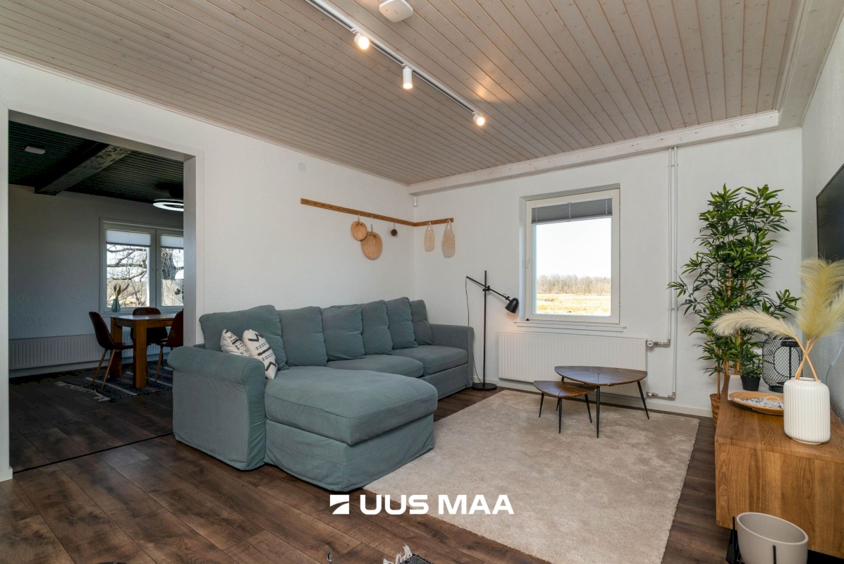 Põhja-Sakala vald, Tipu küla, Tammearu