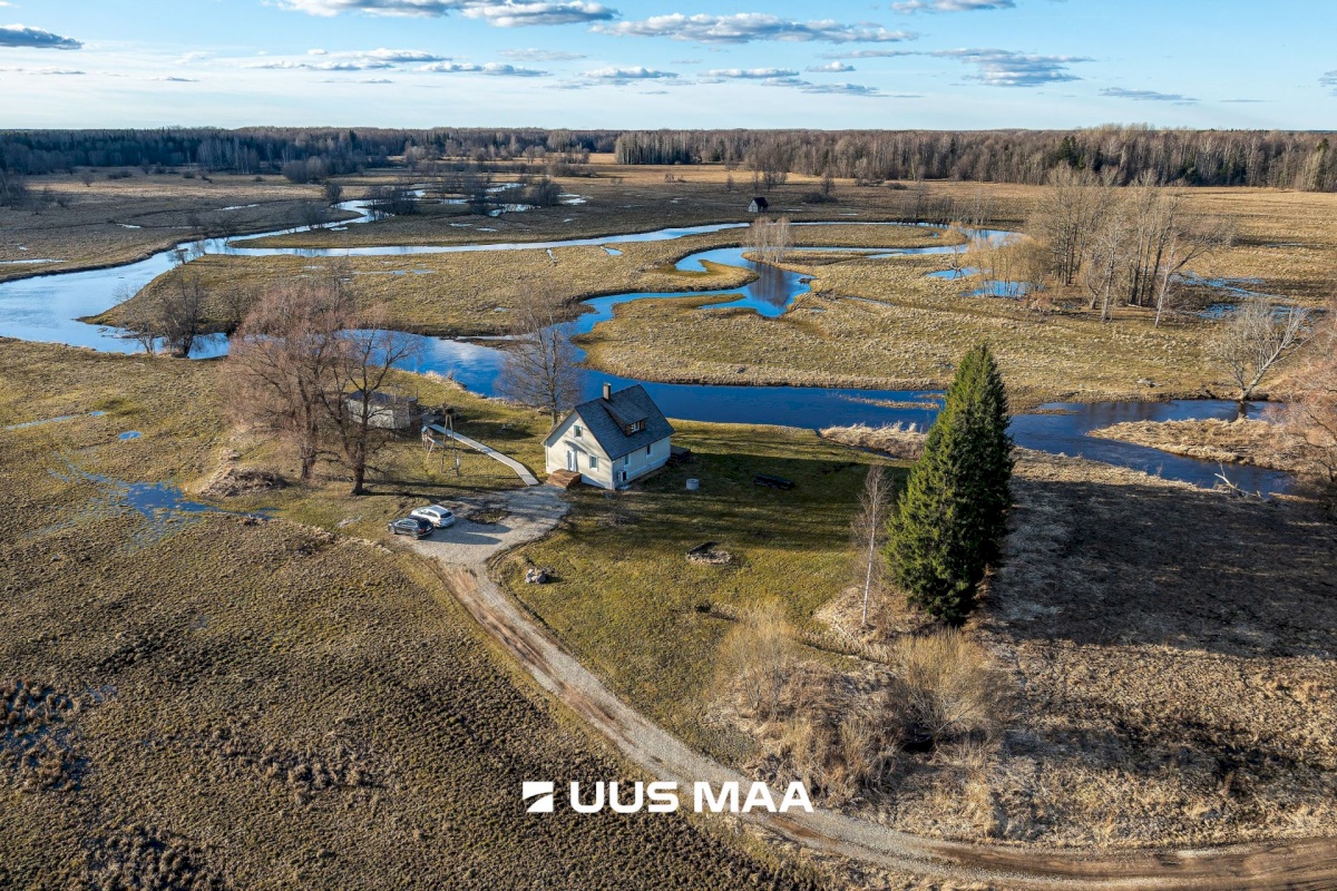 Põhja-Sakala vald, Tipu küla, Tammearu