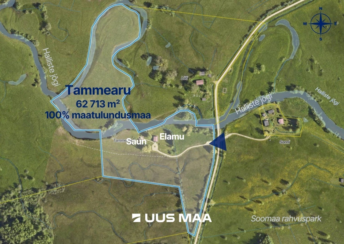 Põhja-Sakala vald, Tipu küla, Tammearu