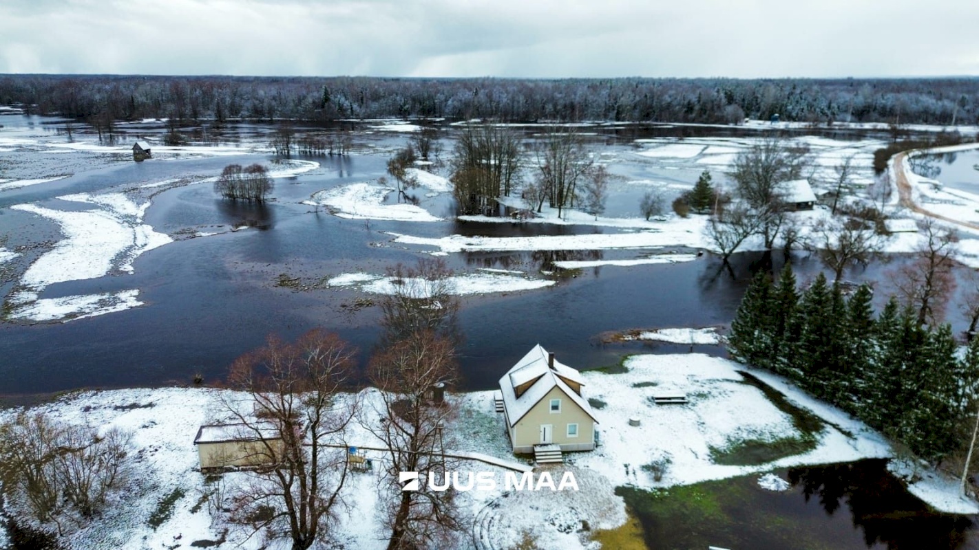 Põhja-Sakala vald, Tipu küla, Tammearu
