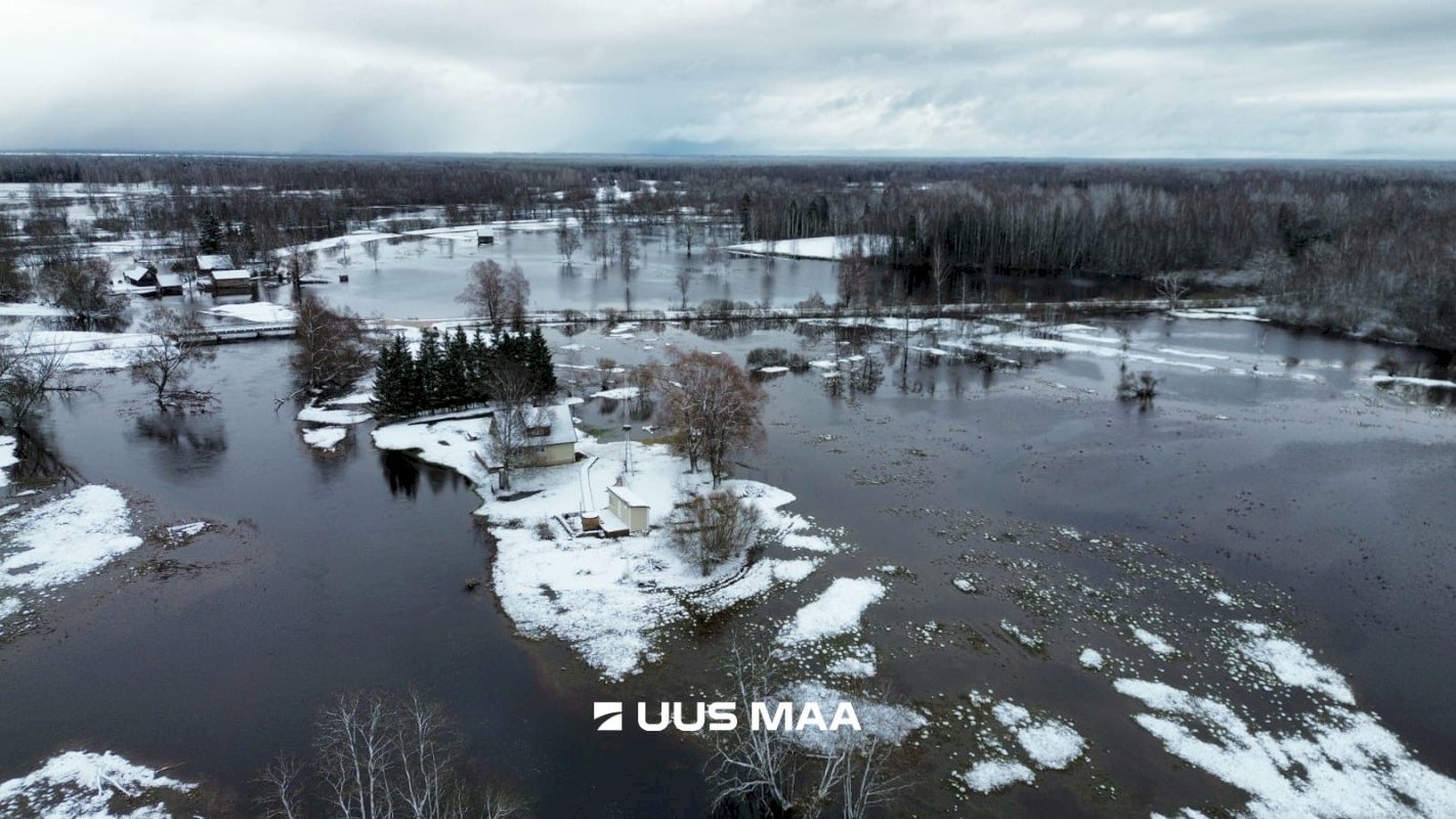 Põhja-Sakala vald, Tipu küla, Tammearu