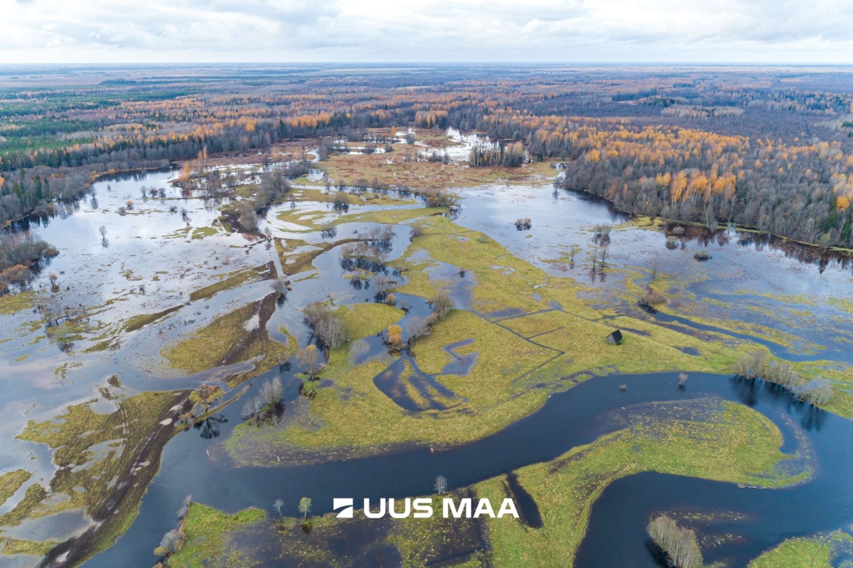 Põhja-Sakala vald, Tipu küla, Tammearu