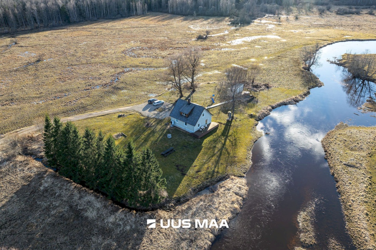 Põhja-Sakala vald, Tipu küla, Tammearu