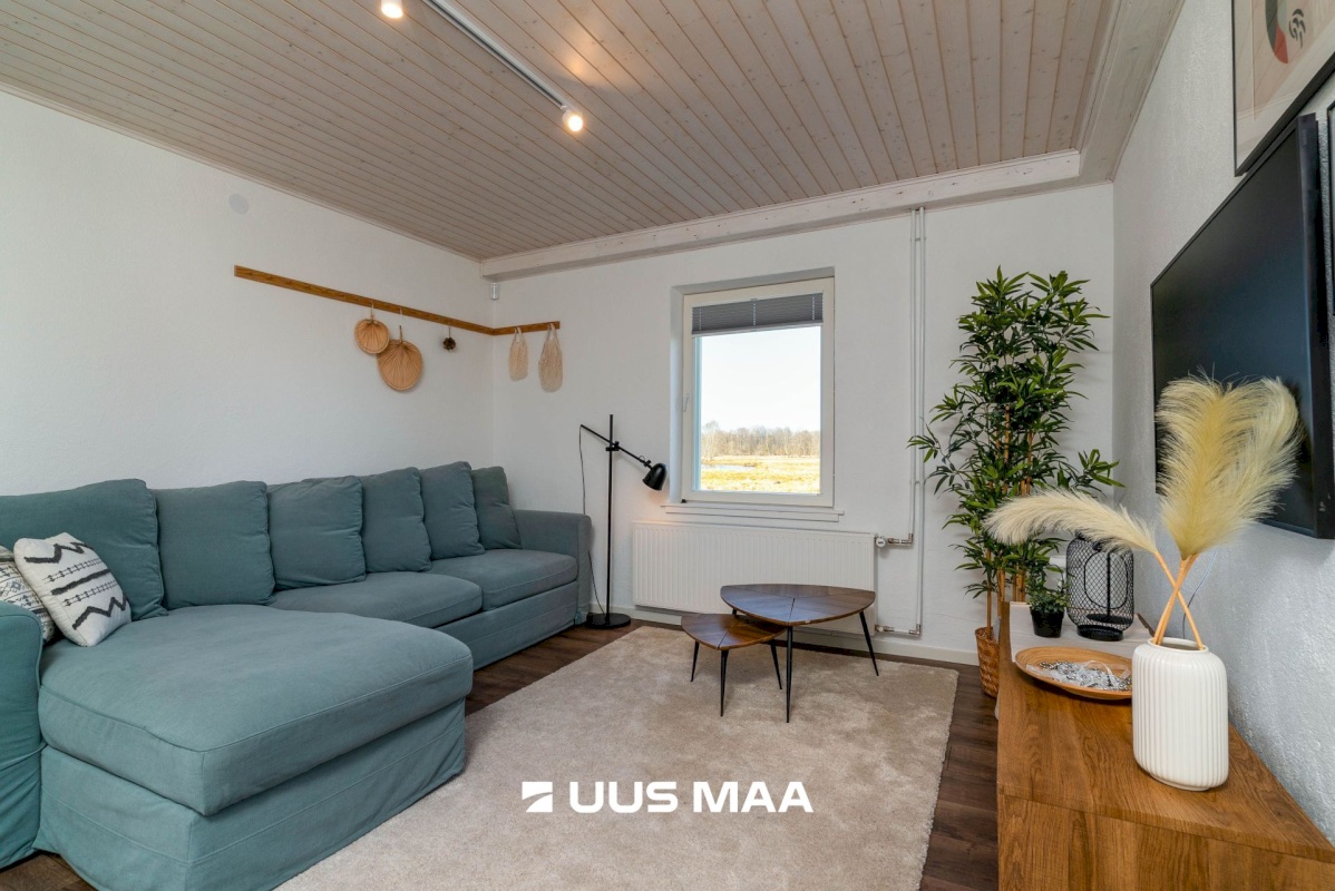 Põhja-Sakala vald, Tipu küla, Tammearu