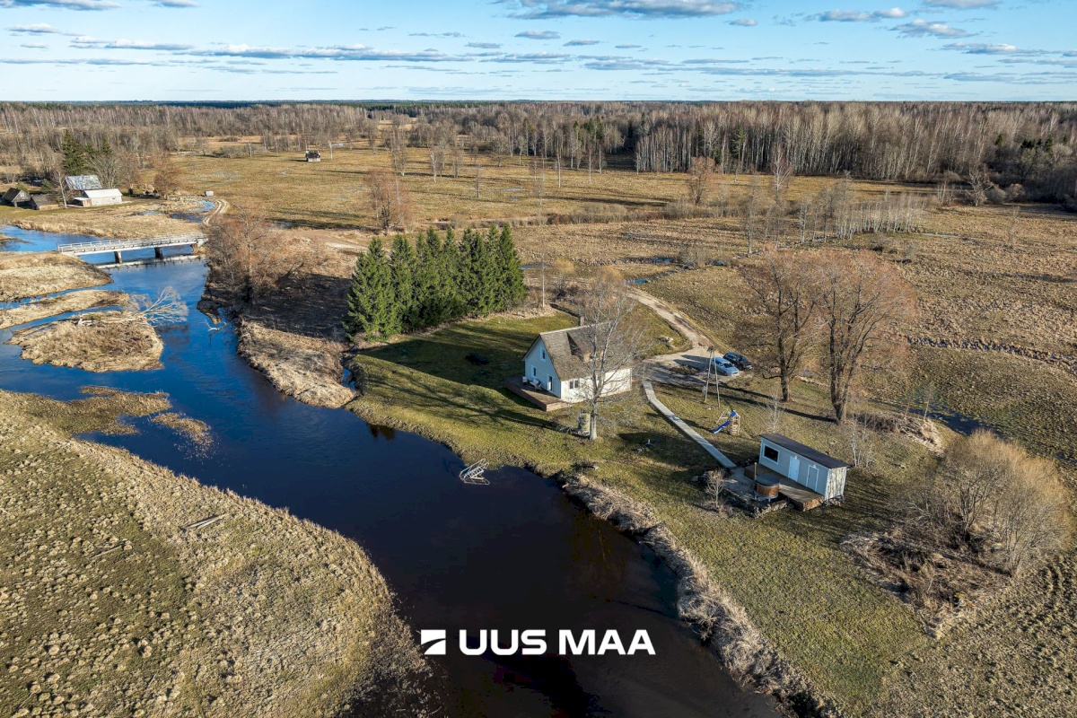 Põhja-Sakala vald, Tipu küla, Tammearu