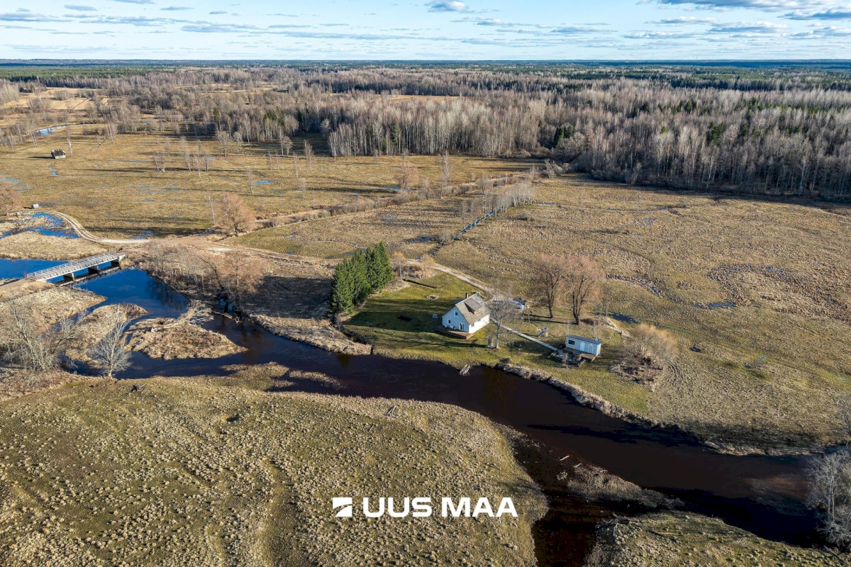 Põhja-Sakala vald, Tipu küla, Tammearu