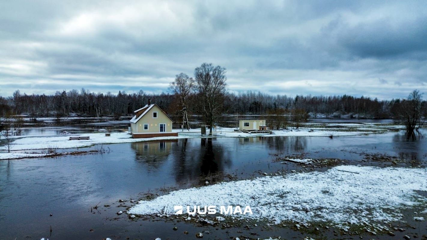 Põhja-Sakala vald, Tipu küla, Tammearu