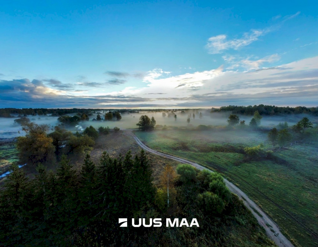 Põhja-Sakala vald, Tipu küla, Tammearu