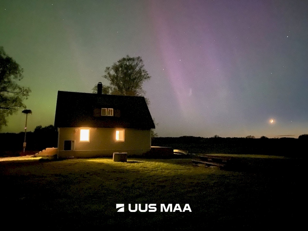 Põhja-Sakala vald, Tipu küla, Tammearu