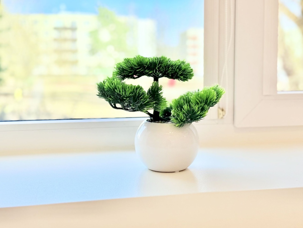 Pärnu linn, Pärnu linn, Mai, Mai tn 39