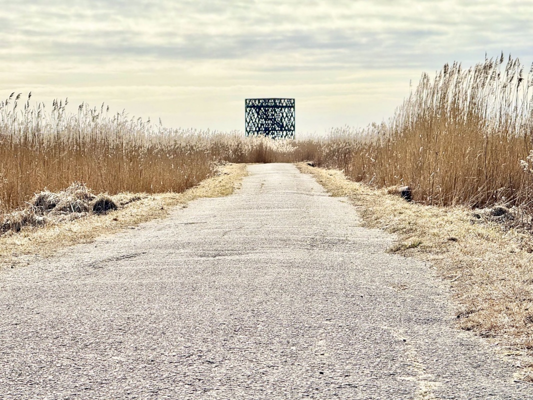 Pärnu linn, Pärnu linn, Mai, Mai tn 39