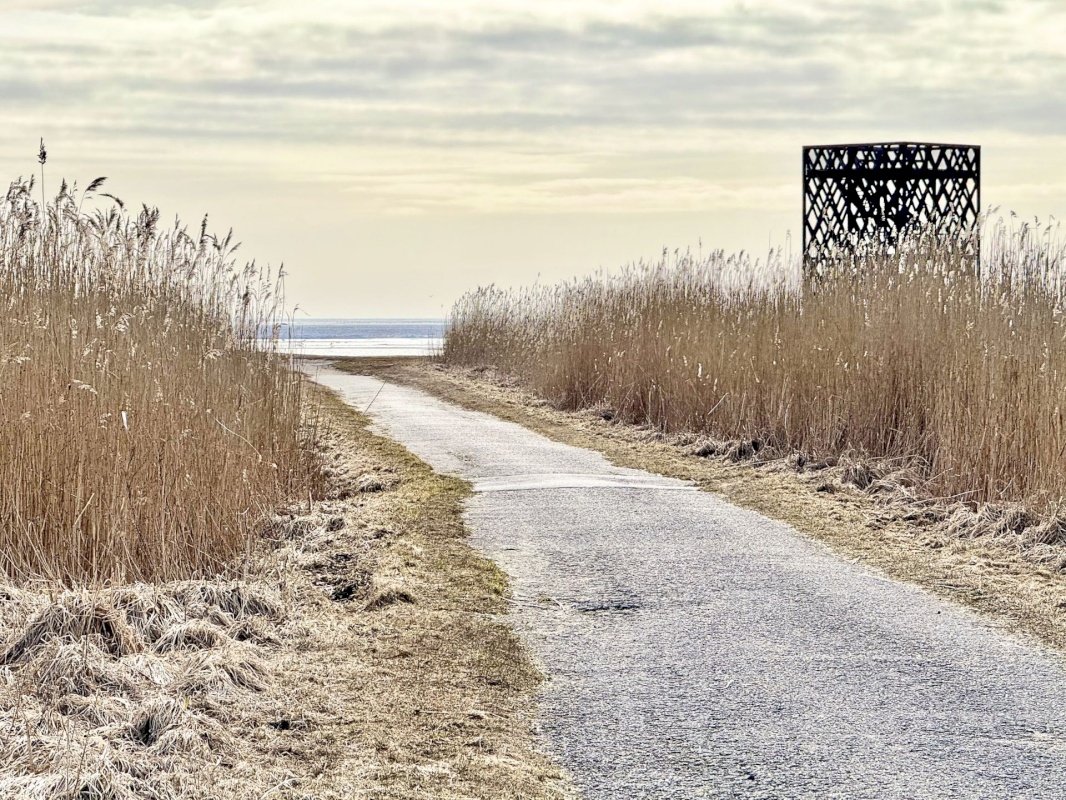 Pärnu linn, Pärnu linn, Mai, Mai tn 39