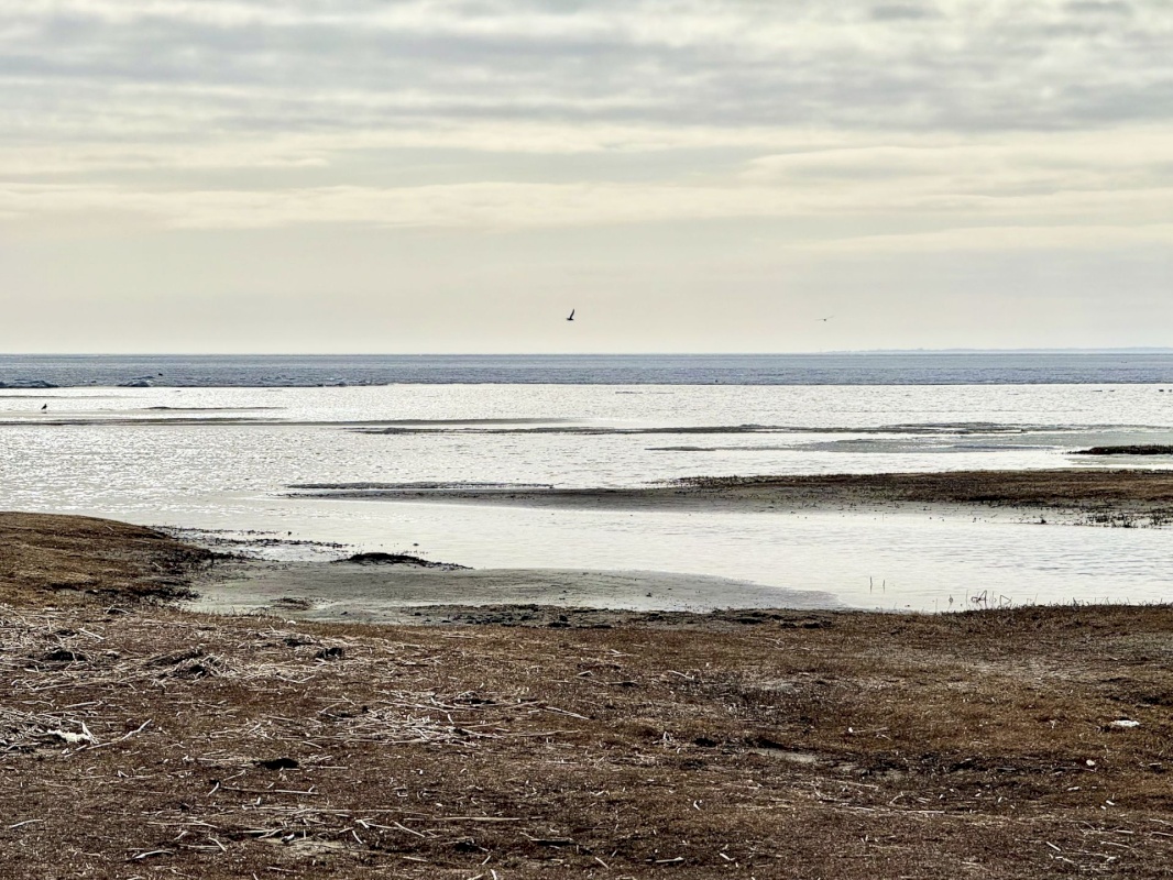 Pärnu linn, Pärnu linn, Mai, Mai tn 39