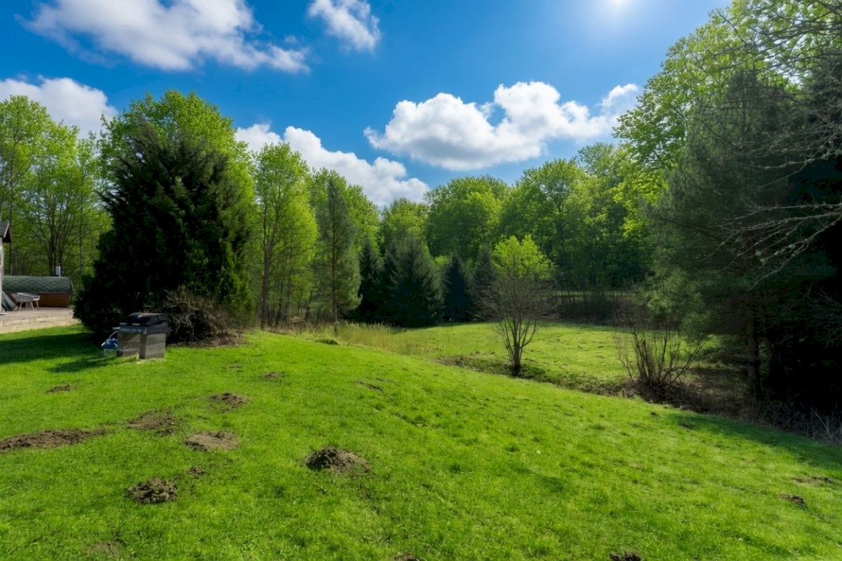 Pärnu linn, Lemmetsa küla