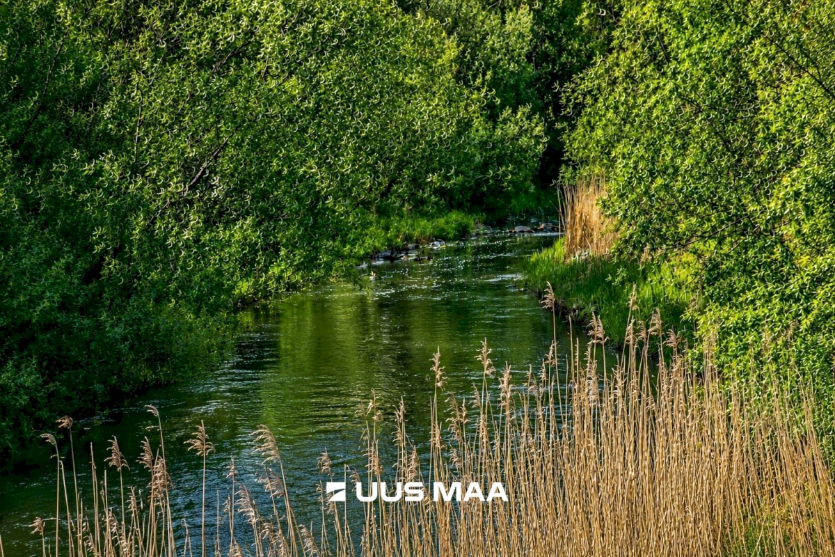 Pärnu linn, Lemmetsa küla