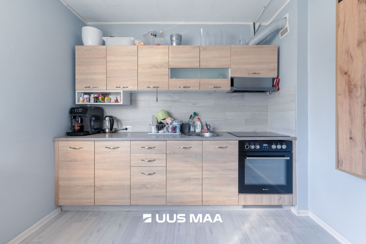 Haljala vald, Aaspere küla, Pargi