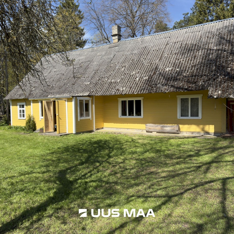 Muhu vald, Viira küla, Lauritse