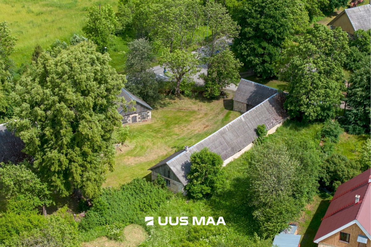 Muhu vald, Viira küla, Lauritse