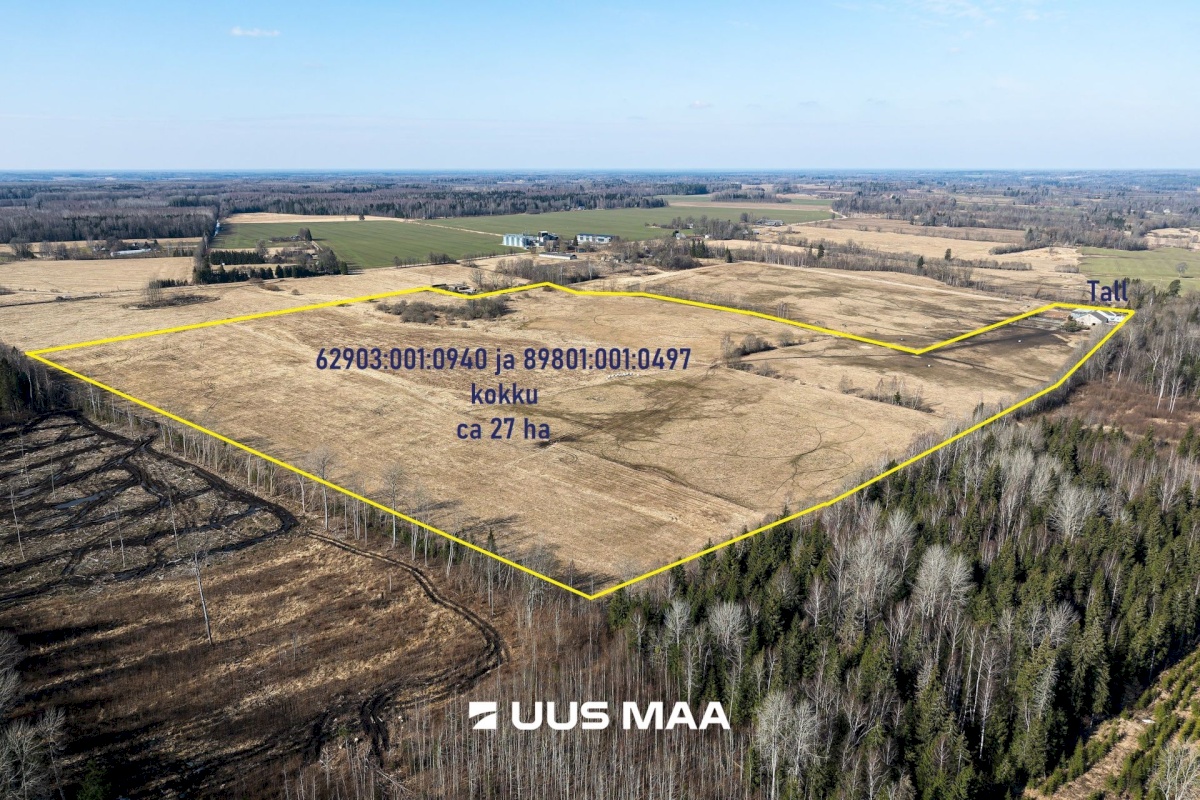 Viljandi vald, Marna küla, Saare tall