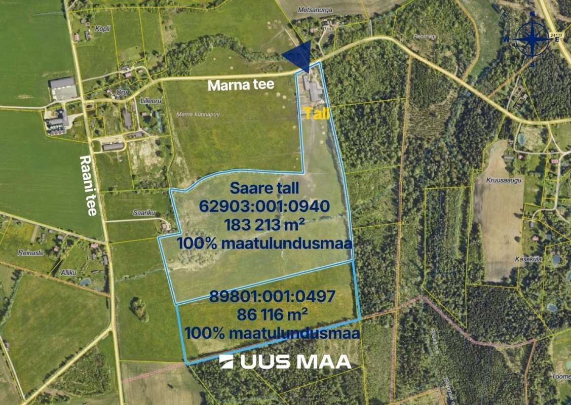 Viljandi vald, Marna küla, Saare tall