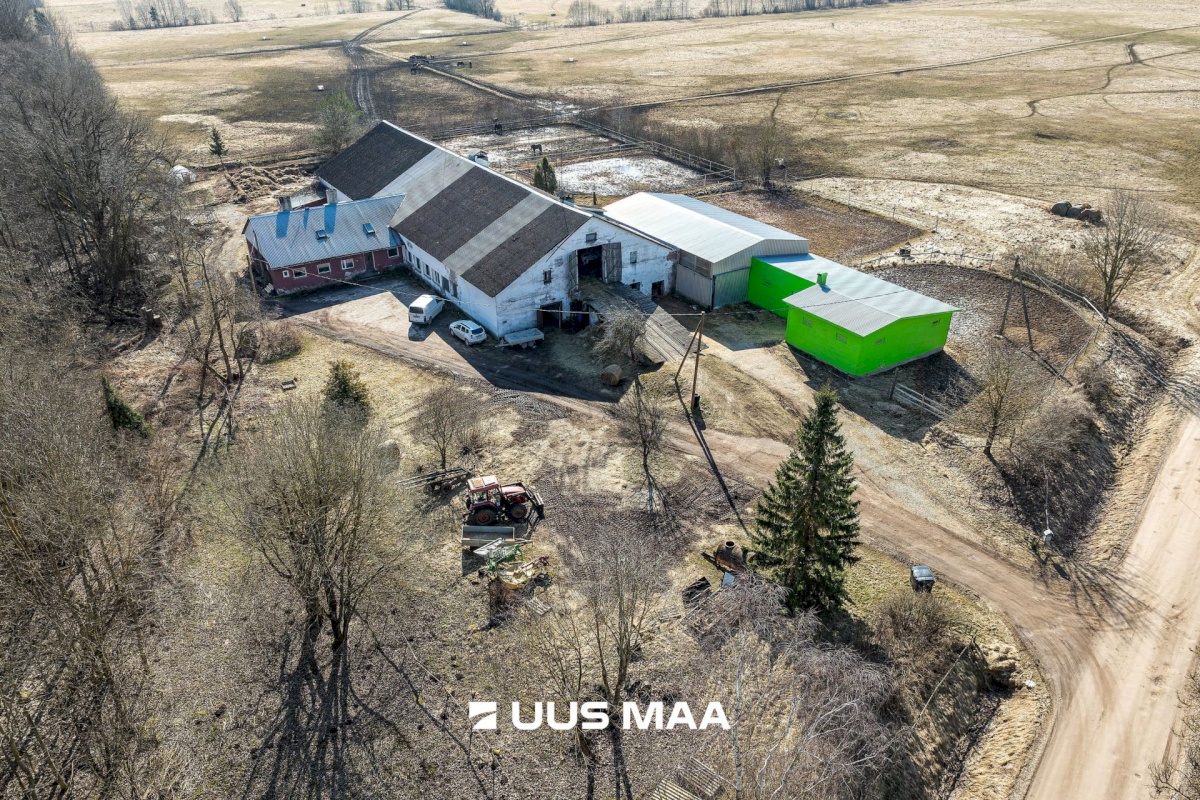 Viljandi vald, Marna küla, Saare tall