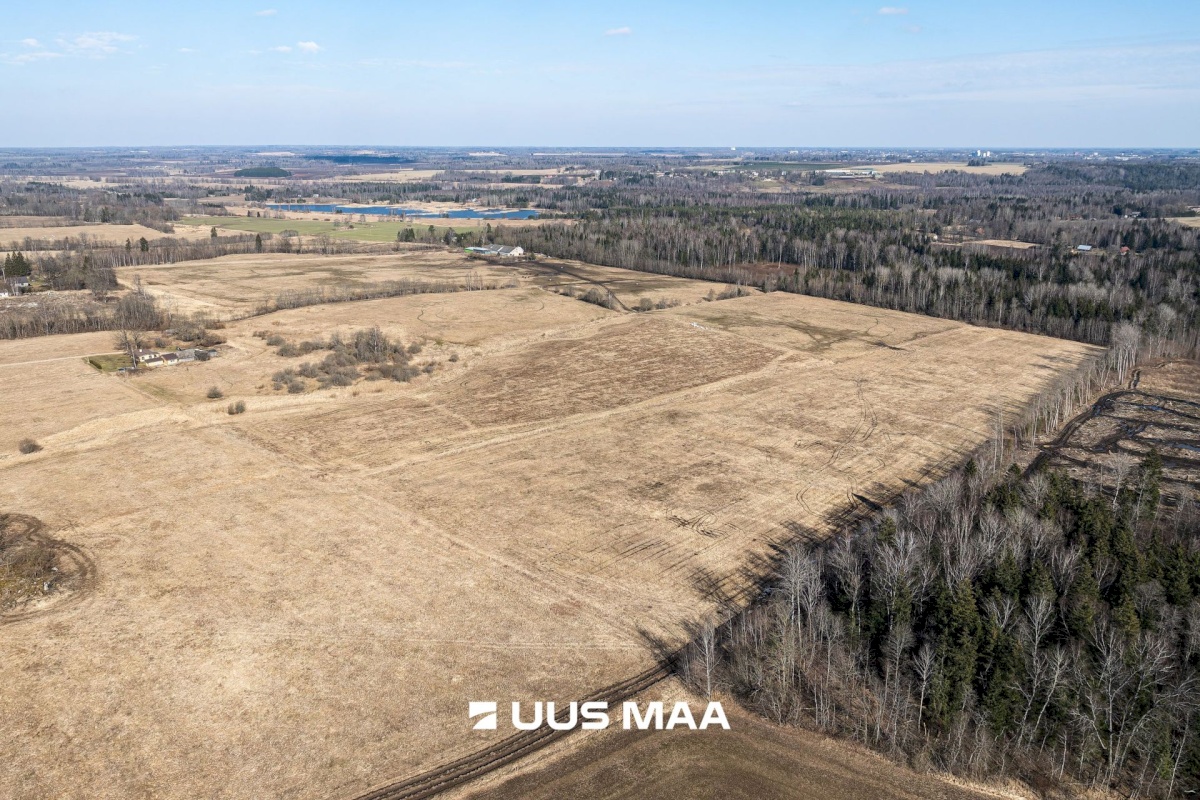 Viljandi vald, Marna küla, Saare tall