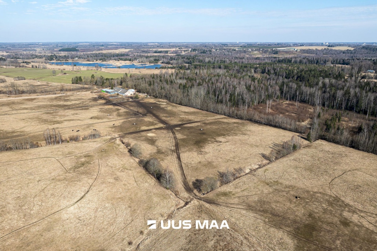 Viljandi vald, Marna küla, Saare tall