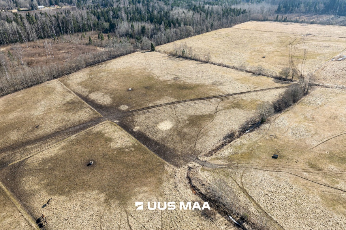 Viljandi vald, Marna küla, Saare tall