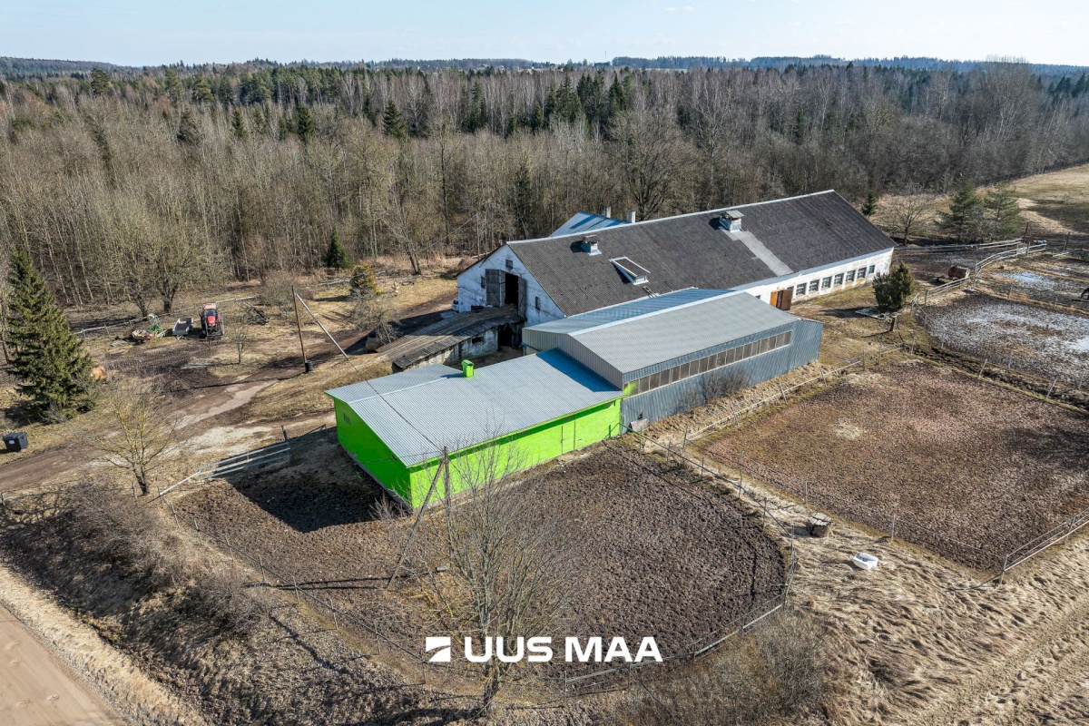 Viljandi vald, Marna küla, Saare tall