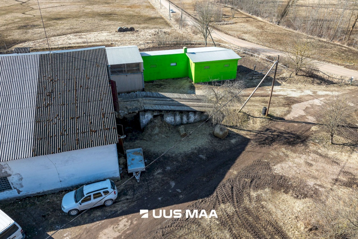 Viljandi vald, Marna küla, Saare tall