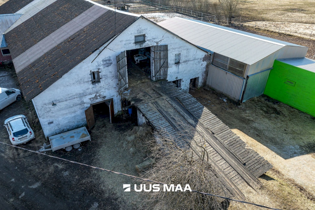 Viljandi vald, Marna küla, Saare tall