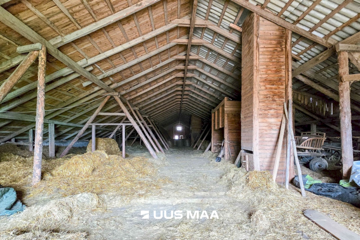 Viljandi vald, Marna küla, Saare tall