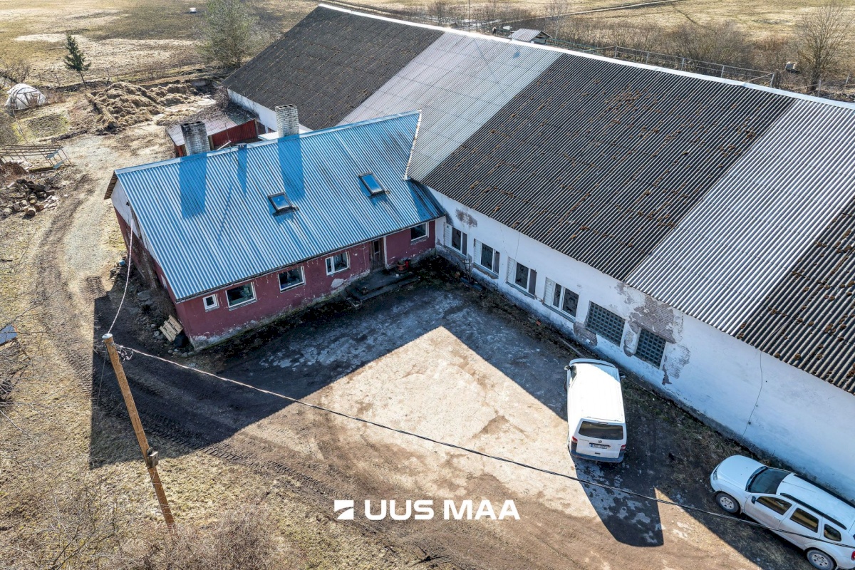 Viljandi vald, Marna küla, Saare tall