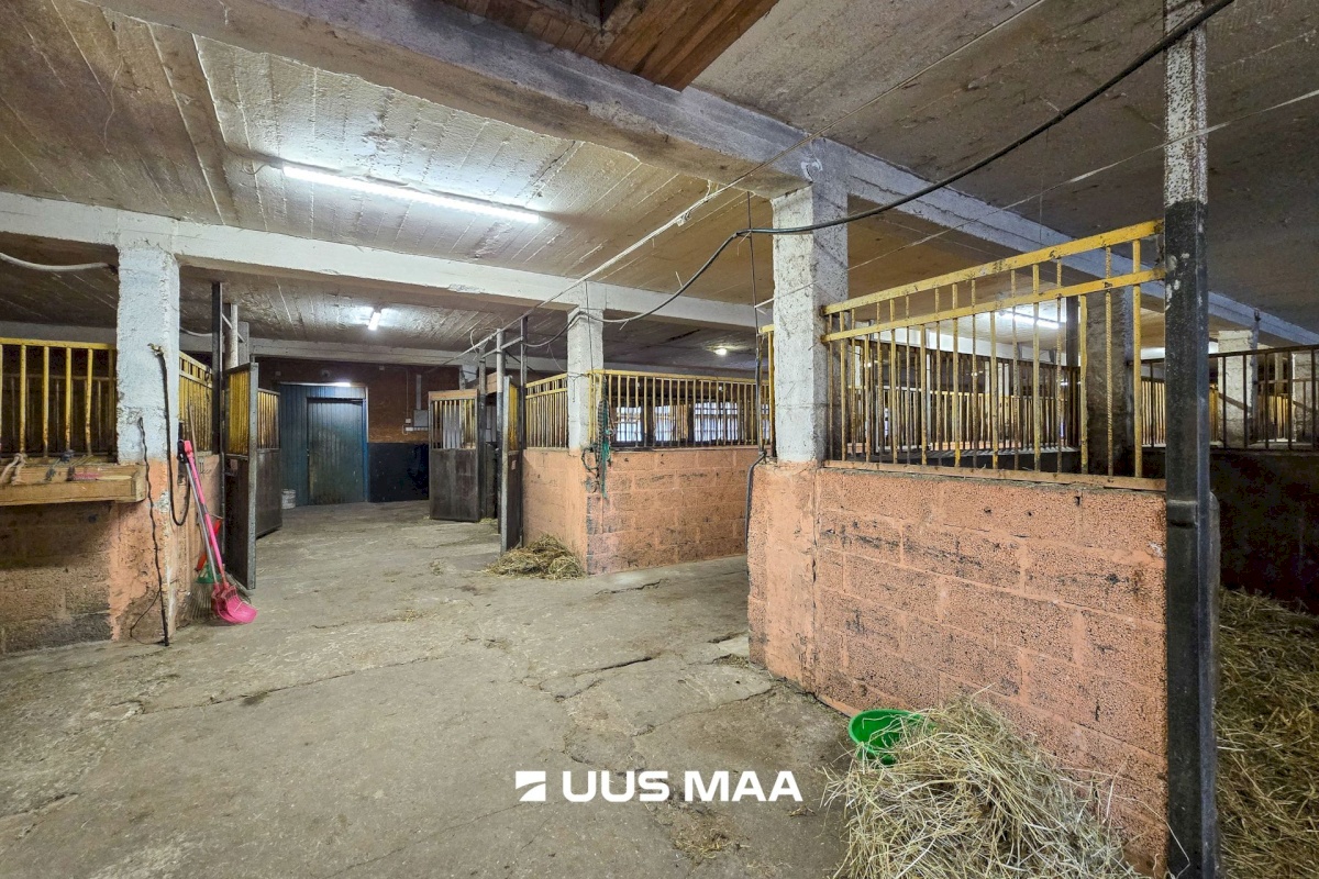 Viljandi vald, Marna küla, Saare tall