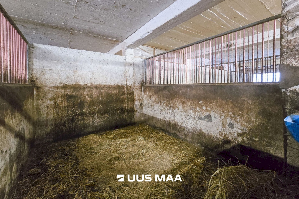 Viljandi vald, Marna küla, Saare tall