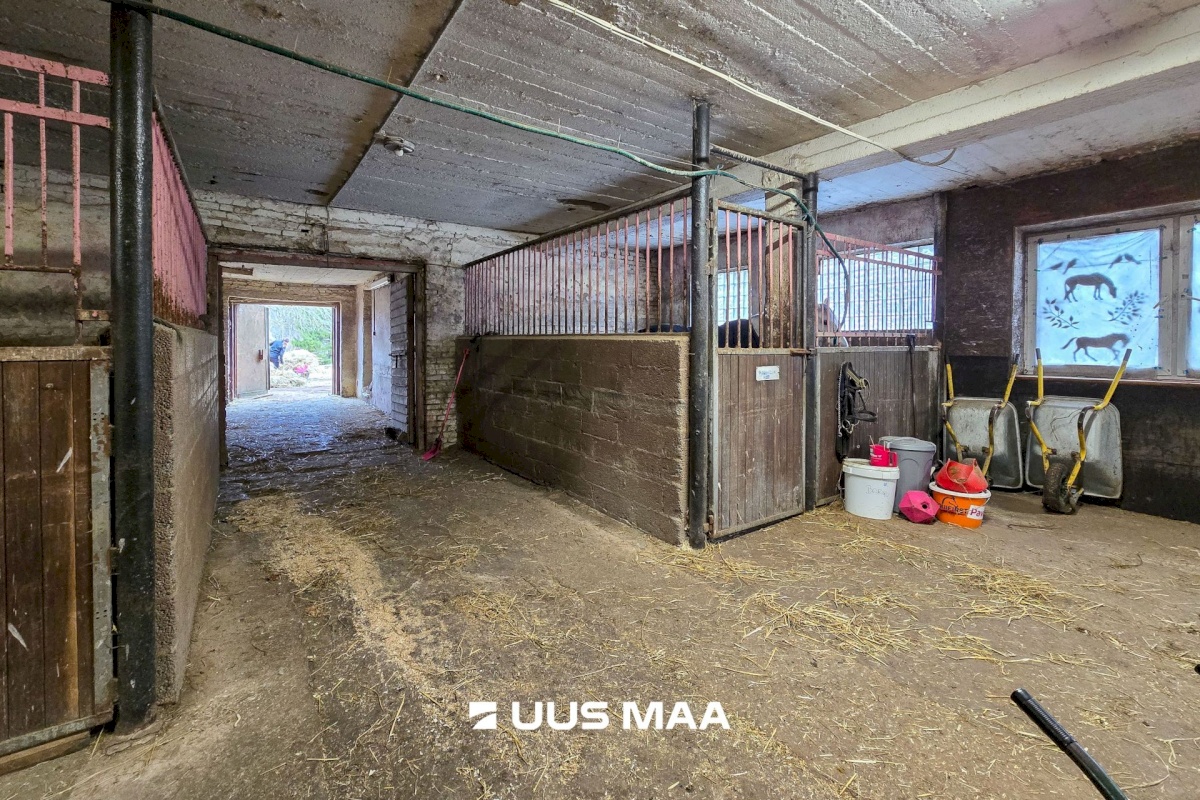 Viljandi vald, Marna küla, Saare tall