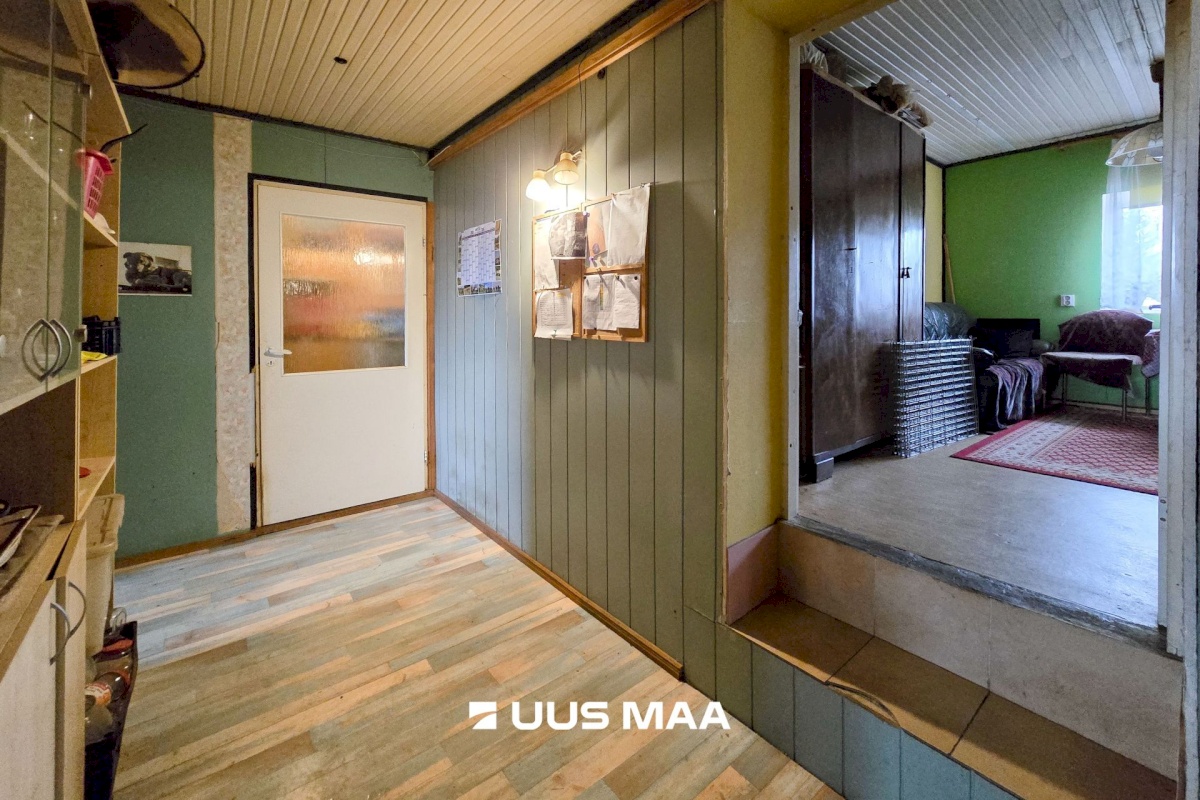 Viljandi vald, Marna küla, Saare tall