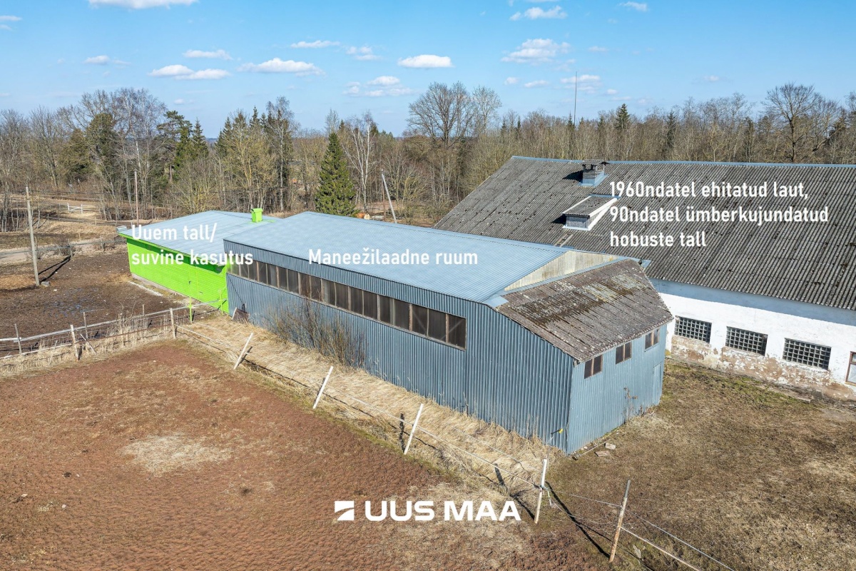 Viljandi vald, Marna küla, Saare tall