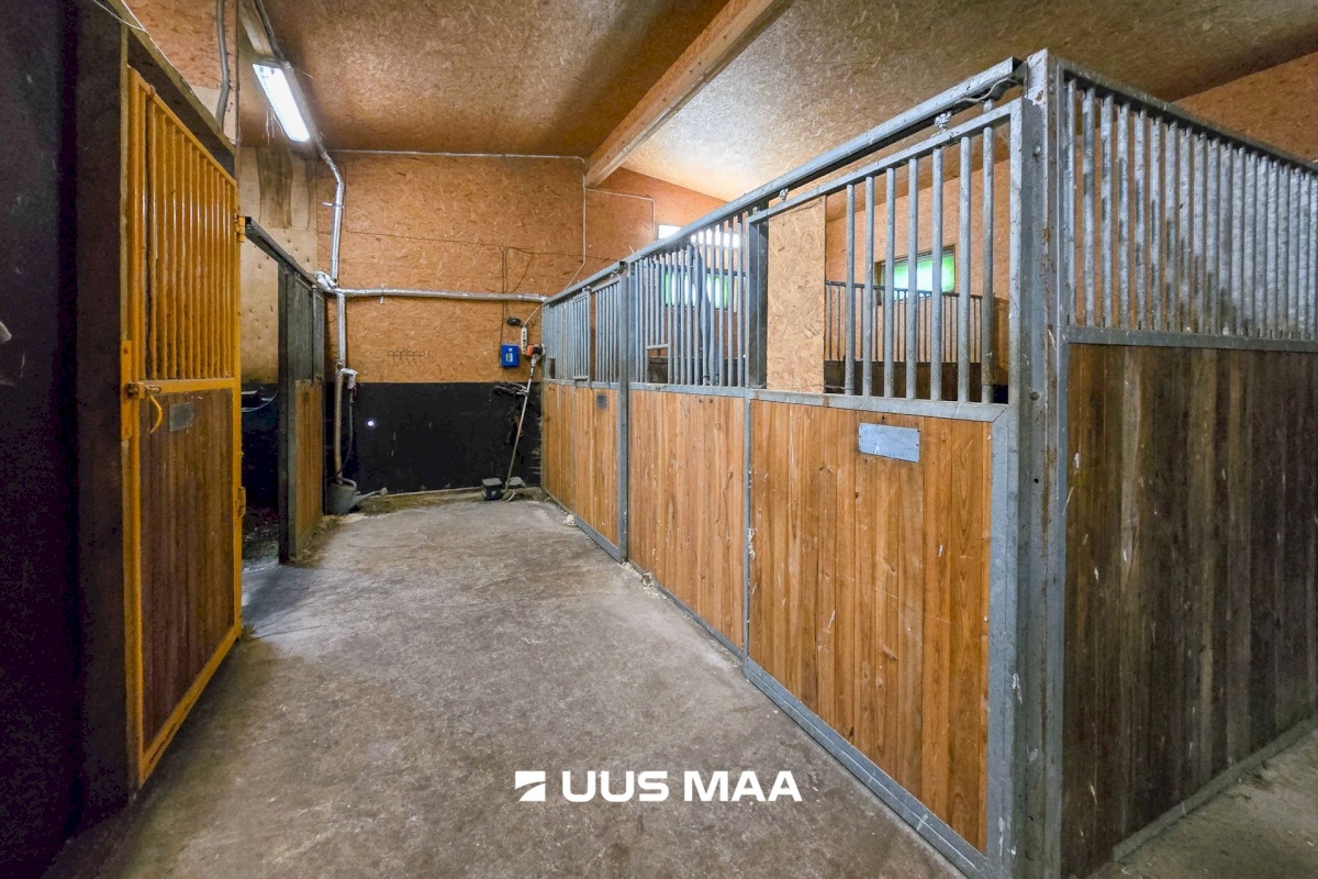 Viljandi vald, Marna küla, Saare tall