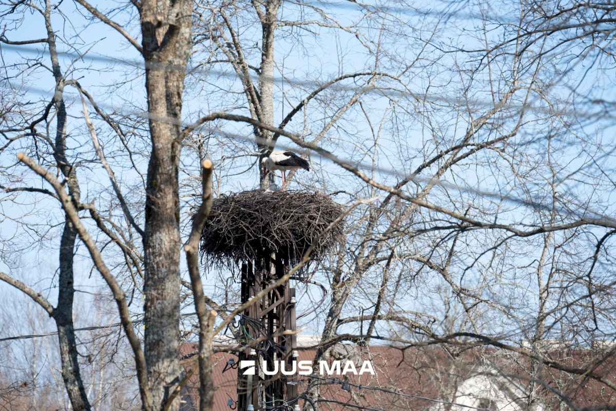 Anija vald, Kehra linn, Sõpruse väljak 7