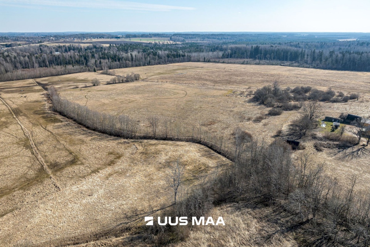 Viljandi vald, Marna küla, Saare tall