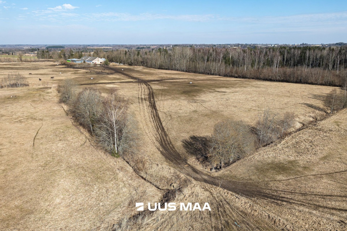 Viljandi vald, Marna küla, Saare tall