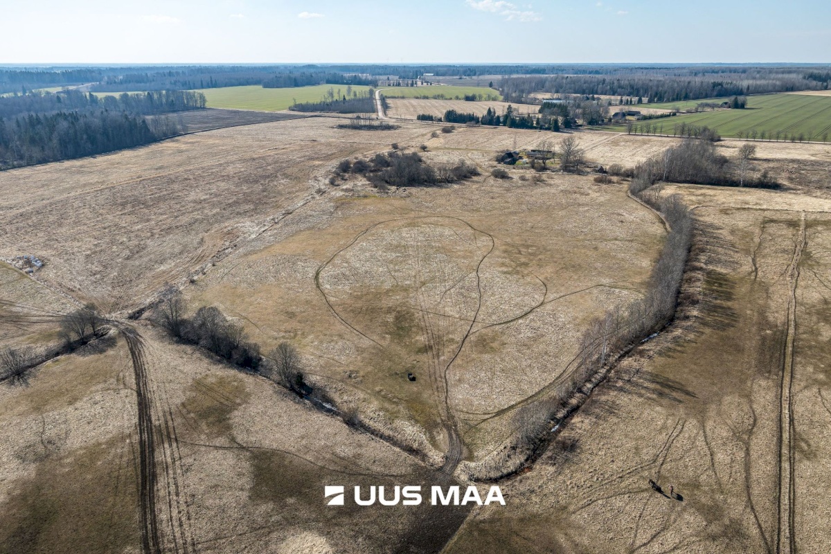 Viljandi vald, Marna küla, Saare tall