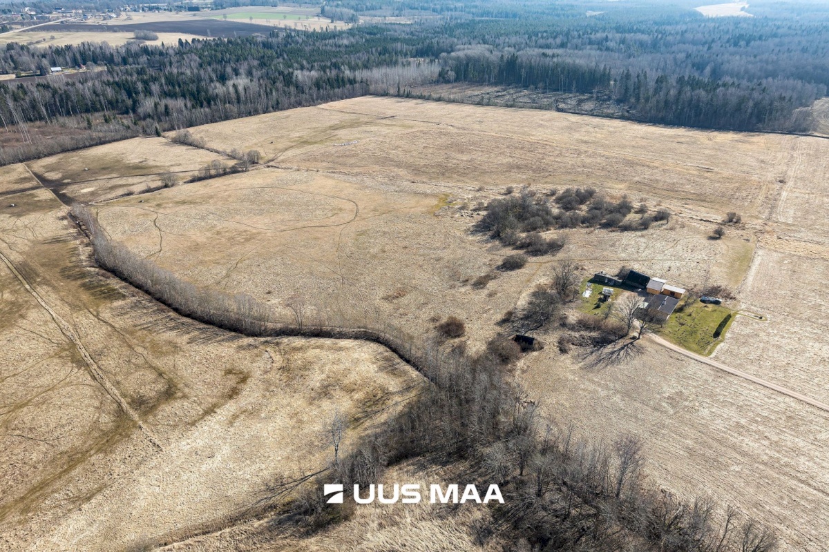 Viljandi vald, Marna küla, Saare tall