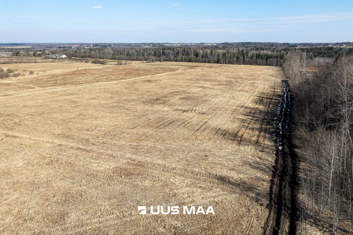 Viljandi vald, Marna küla, Saare tall