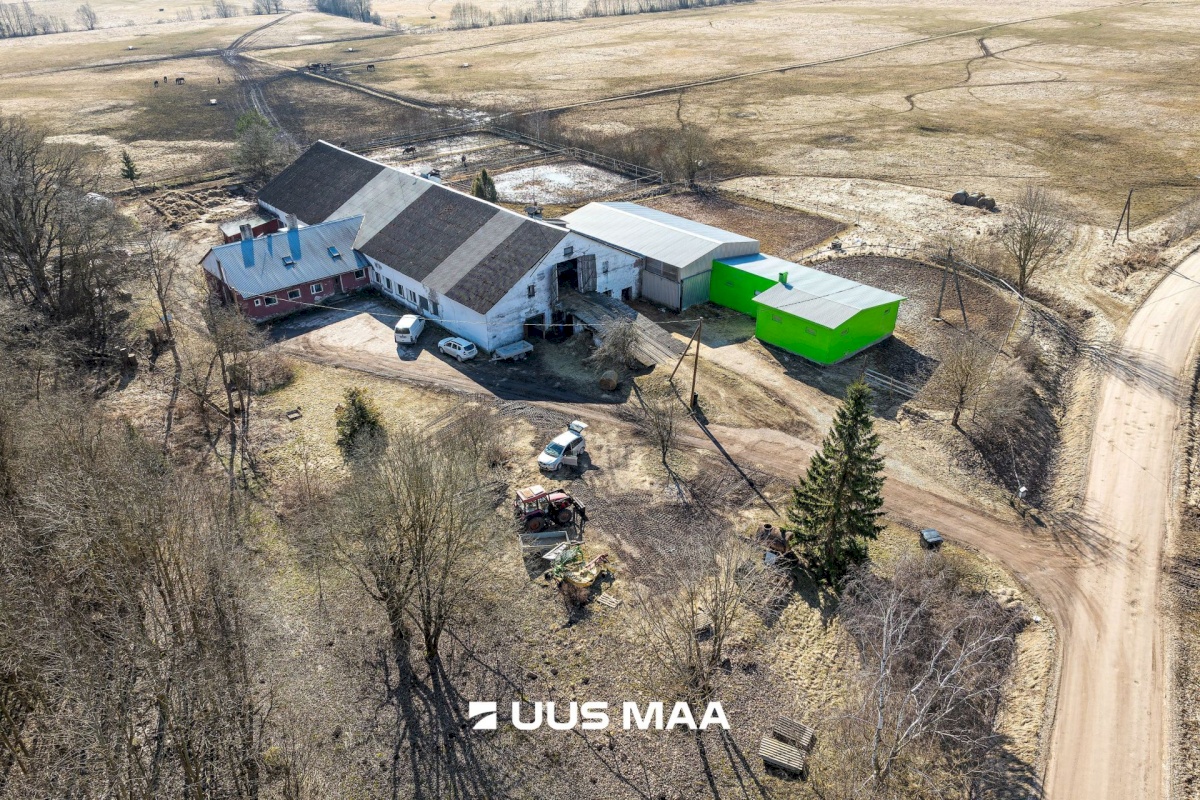 Viljandi vald, Marna küla, Saare tall