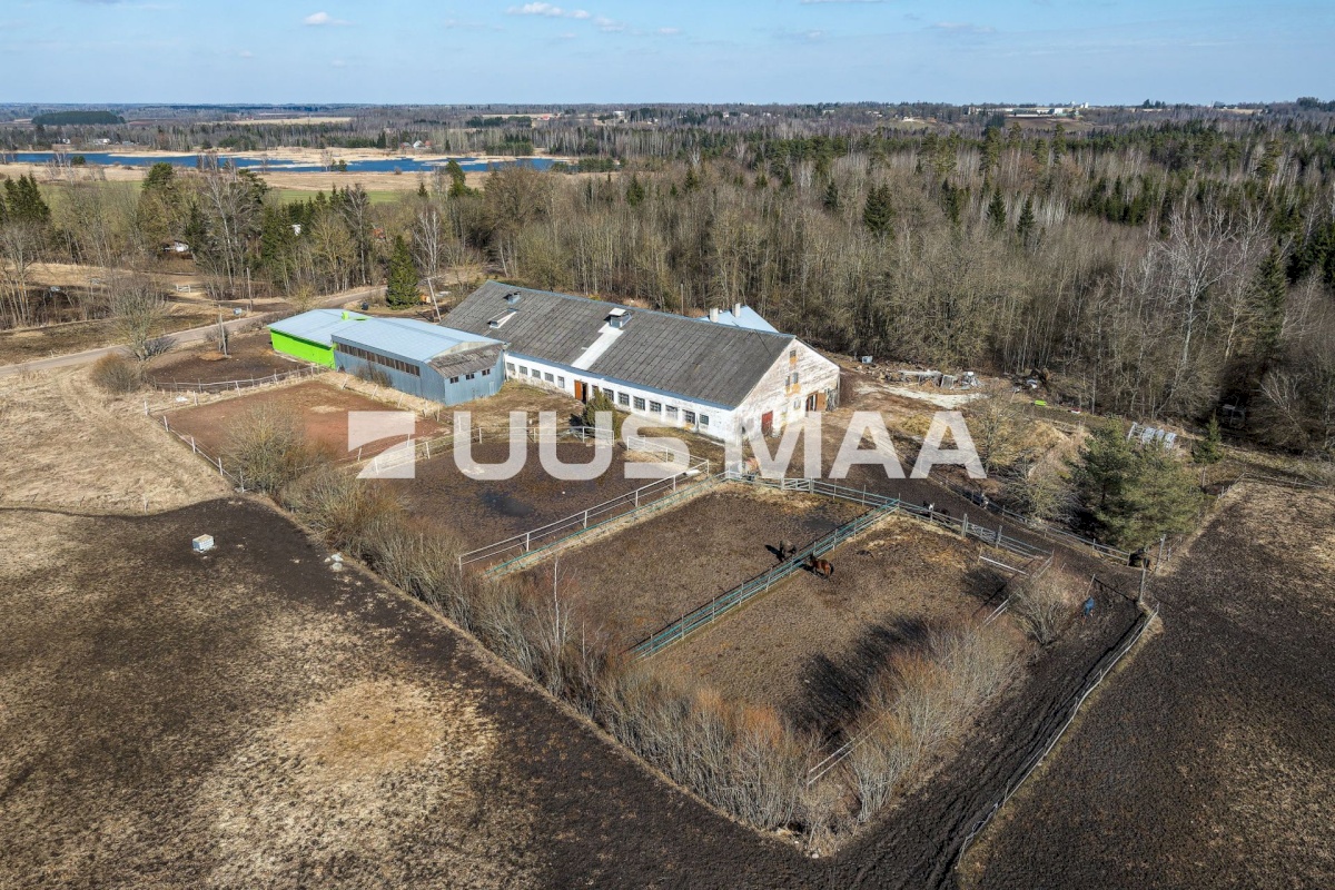 Viljandi vald, Marna küla, Saare tall