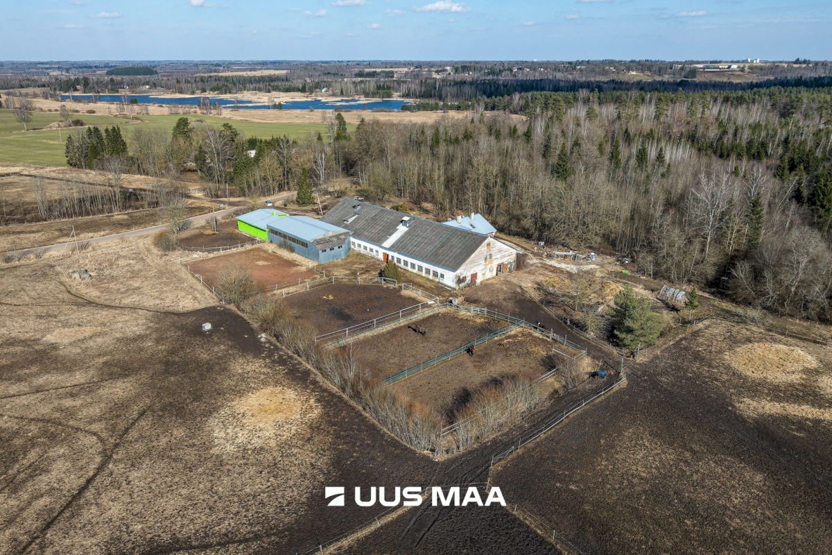 Viljandi vald, Marna küla, Saare tall